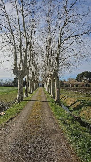 Hebergement - Canal Du Midi Saint-Martin-Lalande Esterno foto